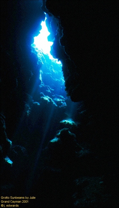 sunrays by julie