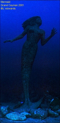 mermaid